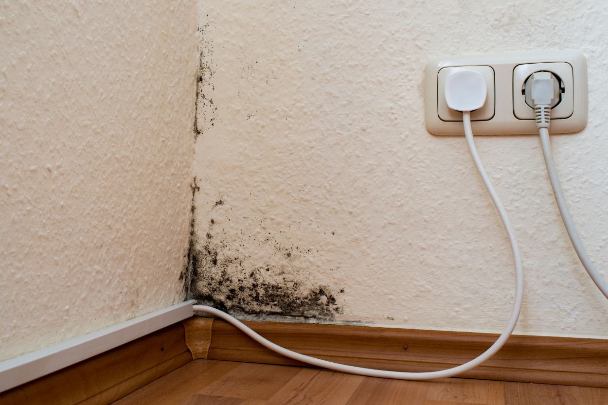 A wall featuring a power outlet and a white cord, relevant to mold removal services in Las Vegas, NV.